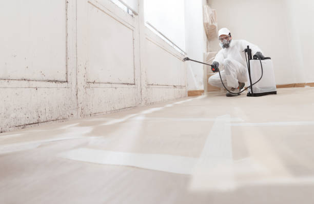 24/7 Emergency Attic Mold Removal experts in Evanston, IL