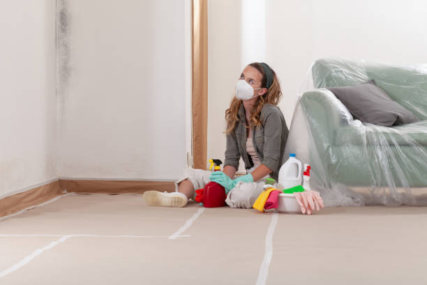 Reliable Attic Mold Removal contractor in Evanston, IL by WQB Mold Removal