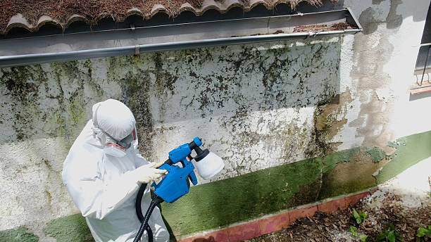 Top rated local Attic Mold Removal specialists in Evanston, IL